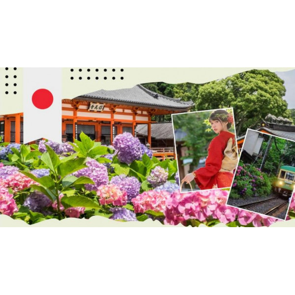 Tour du lịch Nhật Bản 5N4Đ - Cung đường vàng mùa hè Hà Nội - Tokyo -  Phú Sĩ - Kyoto - Osaka NOSHOPPING