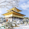 Du lịch Nhật Bản: Tokyo - Kyoto - Osaka 6N5D từ Hà Nội năm 2025 cùng BizTravel hành trình mùa hè vàng