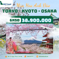 Tour Nhật Bản: Tokyo - Kyoto - Osaka ngắm hoa anh đào 6N5D từ Hà Nội