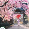 |Mùa Hoa Anh Đào| Tour Nhật Bản: Tokyo - Núi Phú SĨ - Cố đô Kyoto - Osaka 6N5D từ Hà Nội