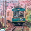|Mùa Hoa Anh Đào| Tour Nhật Bản: Tokyo - Núi Phú SĨ - Cố đô Kyoto - Osaka 6N5D từ Hà Nội