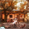 Tour Nhật Bản 6N6Đ: Tokyo - Matsumoto - Gifu - Kyoto - Osaka mùa hoa anh đào 2025 