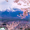 Tour Nhật Bản 6N6Đ: Tokyo - Matsumoto - Gifu - Kyoto - Osaka mùa hoa anh đào 2025 