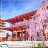 Tour Nhật Bản: Cung Đường Romantic & Bộ Tứ Mùa Xuân ASAHI FUNAGAWA 2025