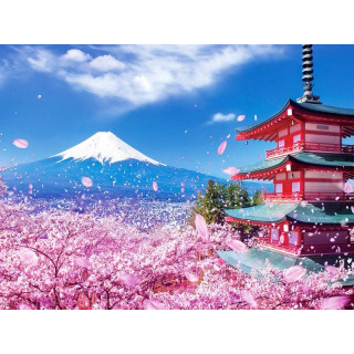 Tour NHẬT BẢN CUNG ĐƯỜNG VÀNG MÙA THU năm 2025 (Đi Osaka về Tokyo HND)