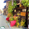Tour Nhật Bản: Quyến Rũ Mùa Hoa Anh Đào Ở Làng Cổ tích Shirakawa 6N5D từ Hà Nội