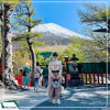 Tour Nhật Bản: Quyến Rũ Mùa Hoa Anh Đào Ở Làng Cổ tích Shirakawa 6N5D từ Hà Nội