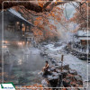 Tour Du Lịch Nhật Bản cung đường vàng mùa xuân: Hà Nội - Osaka - Kyoto - Tokyo 6N5Đ giá tốt từ Hà Nội