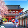 Tour Du Lịch Nhật Bản cung đường vàng mùa xuân: Hà Nội - Osaka - Kyoto - Tokyo 6N5Đ giá tốt từ Hà Nội