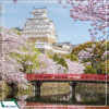 Tour Du Lịch Nhật Bản cung đường vàng mùa xuân: Hà Nội - Osaka - Kyoto - Tokyo 6N5Đ giá tốt từ Hà Nội