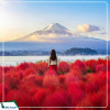 Tour Du Lịch Nhật Bản cung đường vàng mùa xuân: Hà Nội - Osaka - Kyoto - Tokyo 6N5Đ giá tốt từ Hà Nội