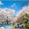 Du lịch Nhật Bản: Hà Nội – Kobe - Osaka – Kyoto – Nagoya – Phú Sĩ – Tokyo 6N5D Bay Vietjet AIr