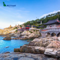 Trải nghiệm Busan: Hương vị của gió biển, cát trắng sôi động