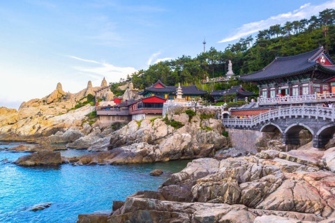 Trải nghiệm Busan: Hương vị của gió biển, cát trắng sôi động