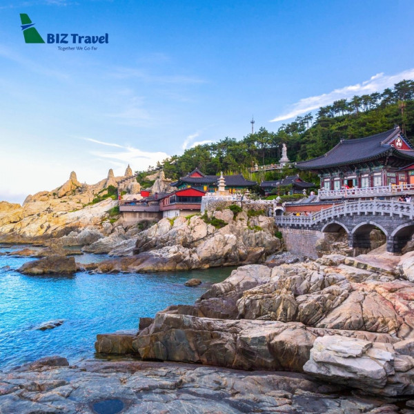 Trải nghiệm Busan: Hương vị của gió biển, cát trắng sôi động Biztravel