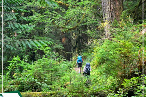Trekking Seoraksan Hàn Quốc: Cung đường đá kỳ vĩ giữa thiên nhiên