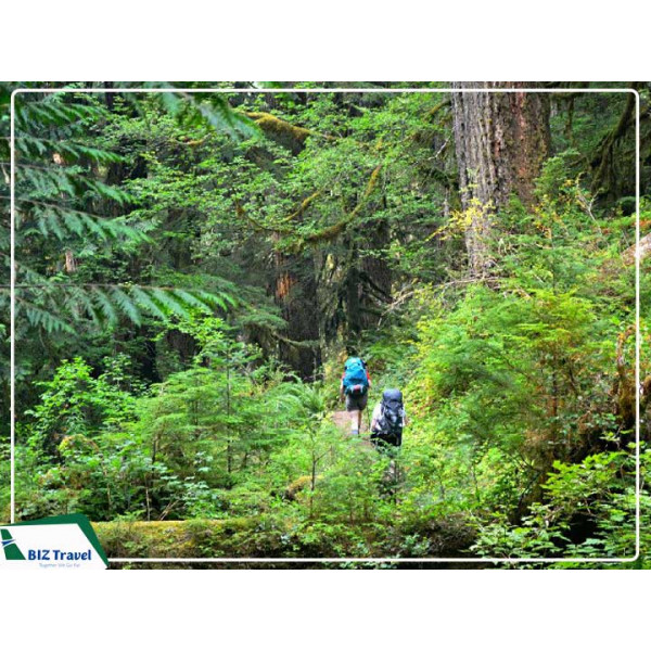 Trekking Seoraksan Hàn Quốc: Cung đường đá kỳ vĩ giữa thiên nhiên hoang sơ