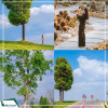   Tour Châu Hồng Hà: Hà Khẩu - Bình Biên – Di Lặc – Kiến Thủy – Mông Tự 4N3D từ Hà Nội
