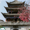 Tour Hà Khẩu - Đại Lý - Lệ Giang - Shangrila  - Côn Minh 6N5D từ Hà Nội