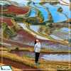 Tour Hà Khẩu - Nguyên Dương - Bích Sắc Trại - Tây Song Bản Nạp - Phổ Nhĩ 5N4D từ Hà Nội năm 2025