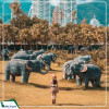 Tour Hà Khẩu - Nguyên Dương - Bích Sắc Trại - Tây Song Bản Nạp - Phổ Nhĩ 5N4D từ Hà Nội năm 2025