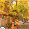 Tour Thượng Hải - Chu Gia Giác - Hàng Châu - Tô Châu - Bắc Kinh 7N6D từ Hà Nội bay Vietnam Airlines 