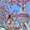 Tour Thượng Hải - Chu Gia Giác - Hàng Châu - Tô Châu - Bắc Kinh 7N6D từ Hà Nội bay Vietnam Airlines 