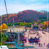 Tour Hàn Quốc 5N4D mùa hoa anh đào: Seoul - Nami - Everland - Công viên Yeouido từ Hà Nội