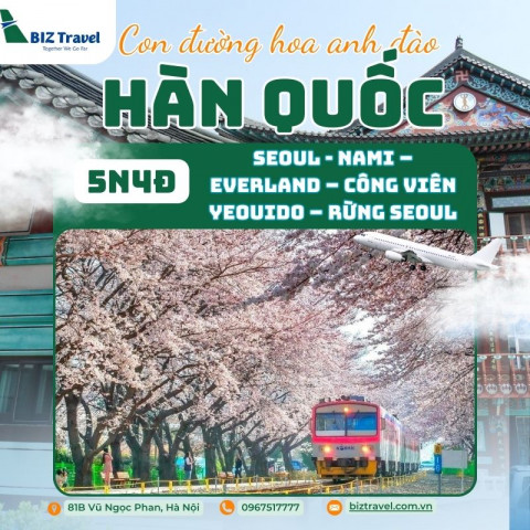 Tour Hàn Quốc cung đường hoa anh đào: Seoul - Nami 5N4D từ Hà Nội