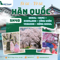 Tour Hàn Quốc 5N4d: Khám phá con đường hoa anh đào (Đi tối về tối)