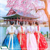 Tour Hàn Quốc: Seoul - Nami - Công viên  Yeuoido  - Công viên Everland - Rừng Seoul Giá tốt từ Hà Nội năm 2025