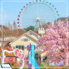 Tour Hàn Quốc: Seoul - Nami - Công viên  Yeuoido  - Công viên Everland - Rừng Seoul Giá tốt từ Hà Nội năm 2025