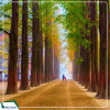 Tour Hàn Quốc: Seoul - Nami - Everland - Công viên Yeouido mùa hoa anh đào 5N4D từ Hà Nội