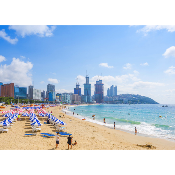 Dịu dàng trong nắng ở Busan