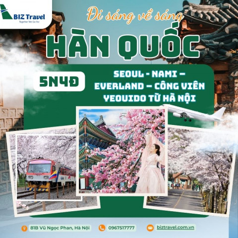 |2025| Tour Hàn Quốc mùa hoa anh đào 5N4D (Đi sáng về sáng)