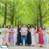 Du lịch Hàn Quốc 5N4D: Seoul - Nami - Everland cung đường hoa anh đào từ Hà Nội năm 2025