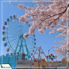 Du lịch Hàn Quốc 5N4D: Seoul - Nami - Everland cung đường hoa anh đào từ Hà Nội năm 2025