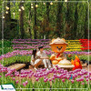 Tour Hàn Quốc mùa hè 2025: Seoul - Nami - Everland - Hero Painter shown từ Hà Nội