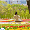 Tour Hàn Quốc mùa hè 2025: Seoul - Nami - Everland - Hero Painter shown từ Hà Nội