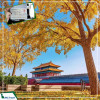 Dịch vụ Visa Trung Quốc Uy tín - Chuyên nghiệp tại Biztravel
