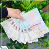 Dịch Vụ Visa Canada – Nhanh Chóng, Tăng Tỉ Lệ Đậu Cao Nhất