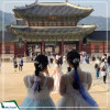Dịch Vụ Làm Visa Hàn Quốc Single Uy Tín - Nhanh Chóng - Tỉ Lệ Đậu Cao