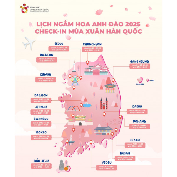 Lịch ngắm hoa anh đào Hàn Quốc năm 2025