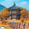 Tour Hàn Quốc 6N5Đ: Hà Nội - Busan - Seoul - Đảo Nami - Incheon - Ngắm Hoa Anh Đào