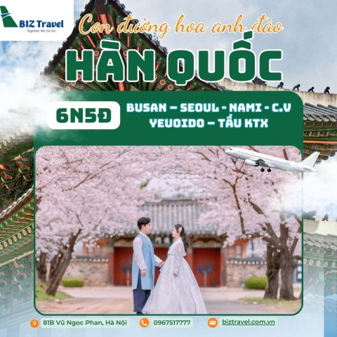 Tour Hàn Quốc:  Busan - Seoul - Nami ngắm hoa anh đào 6N5D từ Hà Nội