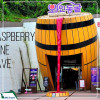 Tour Hàn Quốc 6N5Đ: Hà Nội - Busan - Seoul - Đảo Nami - Incheon - Ngắm Hoa Anh Đào