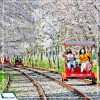 Tour Hàn Quốc 6N5Đ: Hà Nội - Busan - Seoul - Đảo Nami - Incheon - Ngắm Hoa Anh Đào