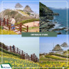 Tour Hàn Quốc 6N5Đ: Hà Nội - Busan - Gyeongju - Seoul (Bay Vietnam Airlines) ngắm hoa anh đào