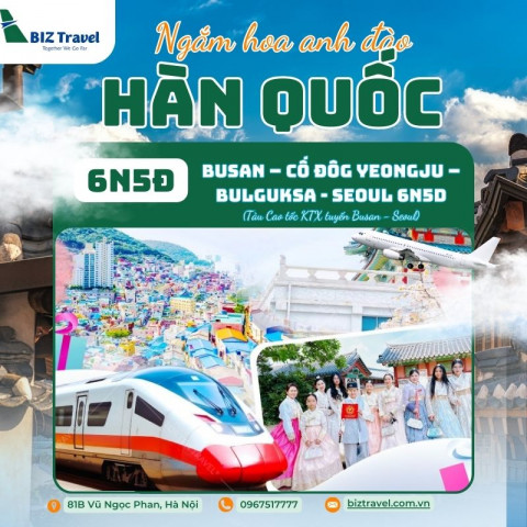Tour Hàn Quốc 6N5Đ: Hà Nội - Busan - Gyeongju - Seoul (Bay VNA)