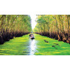 Tour Miền Tây: Cần Thơ - Sóc Trăng - Bạc Liêu - Cà Mau - Đất Mũi - Châu Đốc 4 ngày 3 đêm từ Hà Nội